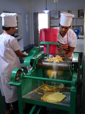 noodle processing