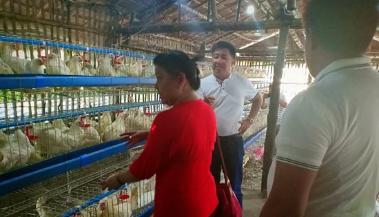 Tanauan poultry business