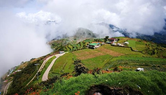 Maria's Farm in Benguet