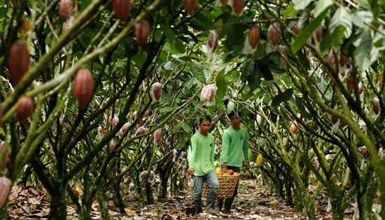 Puentespina Farms