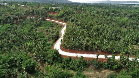 Brgy. Agpangi to Sitio Pongon access road