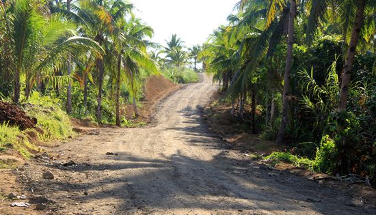 Hindang to Cagbanyacao road