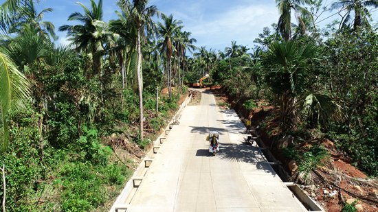 access road leading to Bagongbong Falls