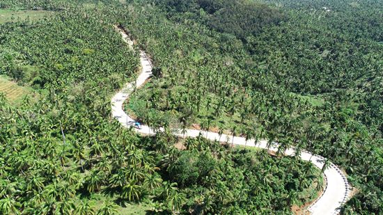 Access road to Bagongbong Falls