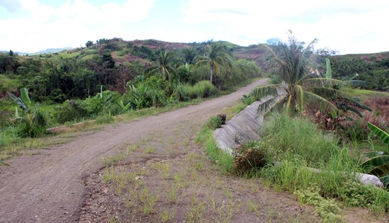 Buenavista-Janipon gravel road