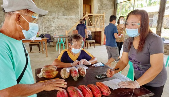 DavOrs cacao farmers