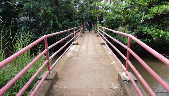 Caibiran footbridge