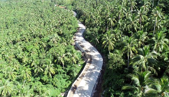 Caraycaray-Libtong road