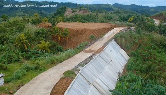 Barangays Imelda to Avelino Farm-to-market road">