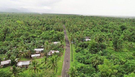 Jaro-Dagami-Burauen-La Paz road section