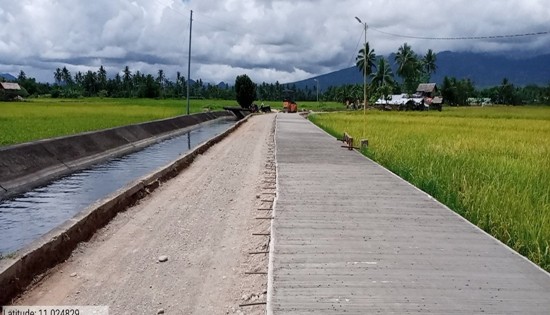 road along rice fields