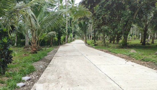 Barangay Batug road