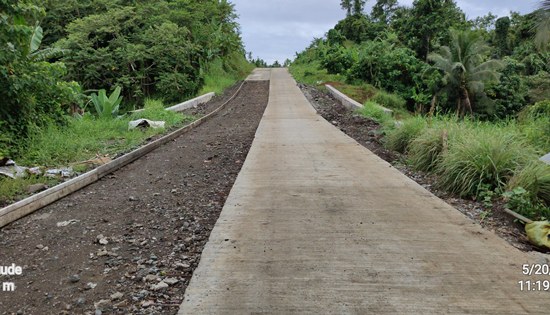 Barangay Guinbaoyan road