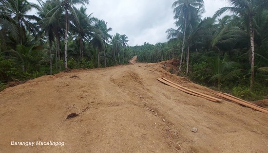 samar cross-country road