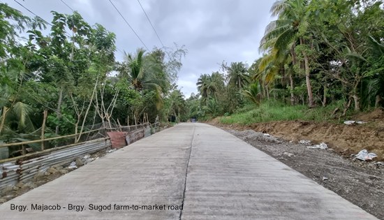 Brgy. Majacob - Brgy. Sugod farm-to-market road