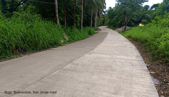 Brgy. Buenavista, San Jorge road