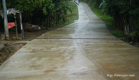 Brgy. Palanogon road