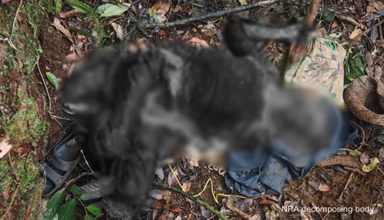 NPA decomposing body