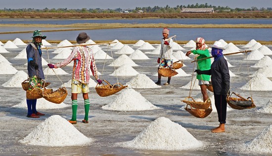 salt farmers