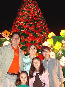 Giant christmas tree of Tacloban