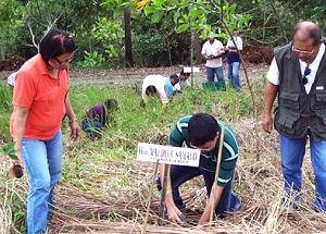 DENR 8 tree planting program